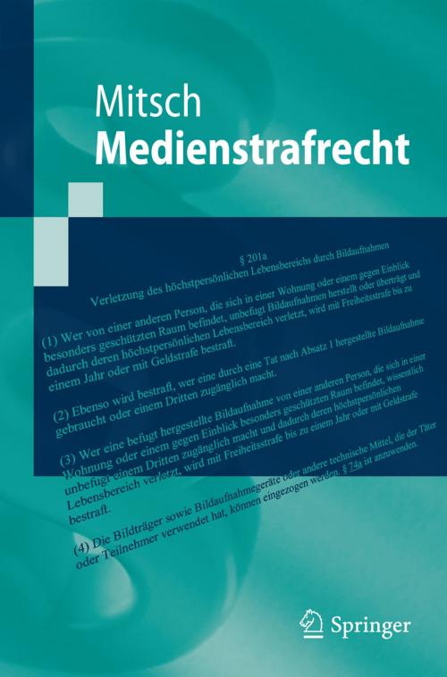 Cover of the book Medienstrafrecht by Wolfgang Mitsch, Springer Berlin Heidelberg