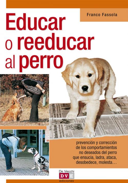 Cover of the book Educar o reeducar al perro by Franco Fassola, De Vecchi Ediciones