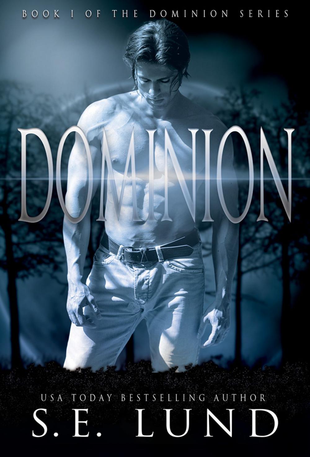 Big bigCover of DOMINION