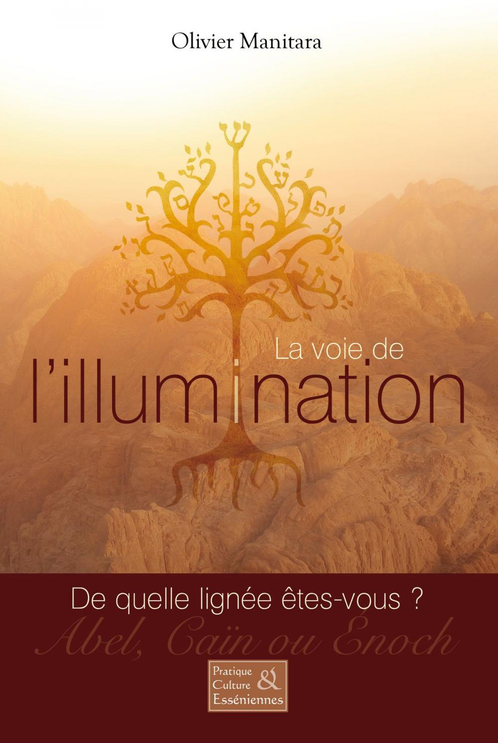 Big bigCover of La voie de l'illumination