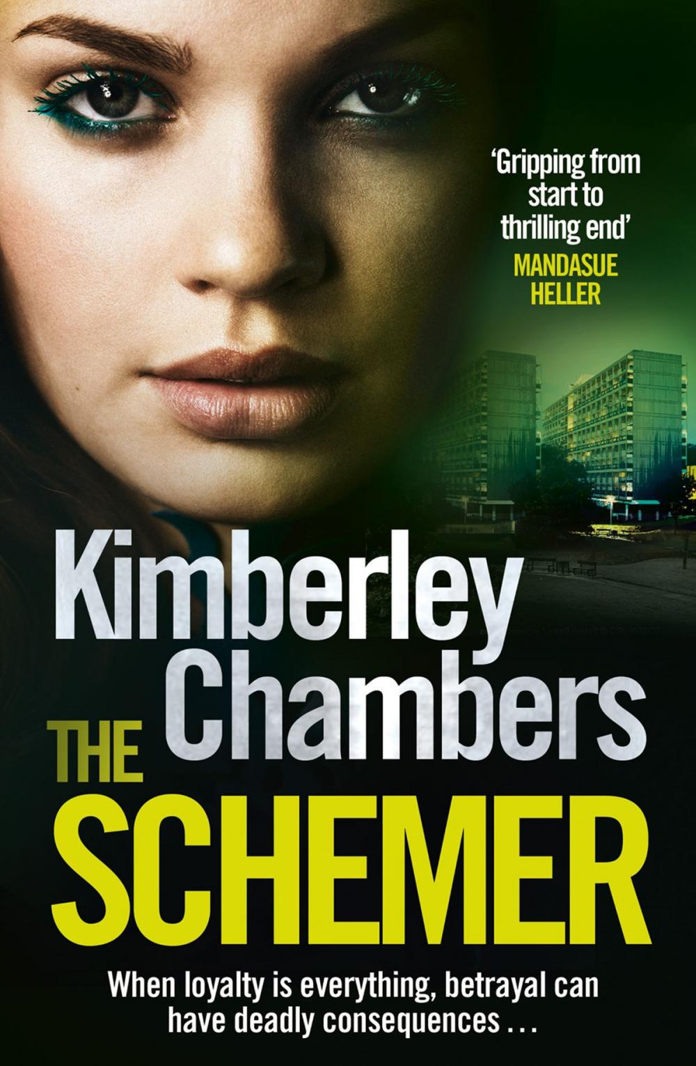 Big bigCover of The Schemer