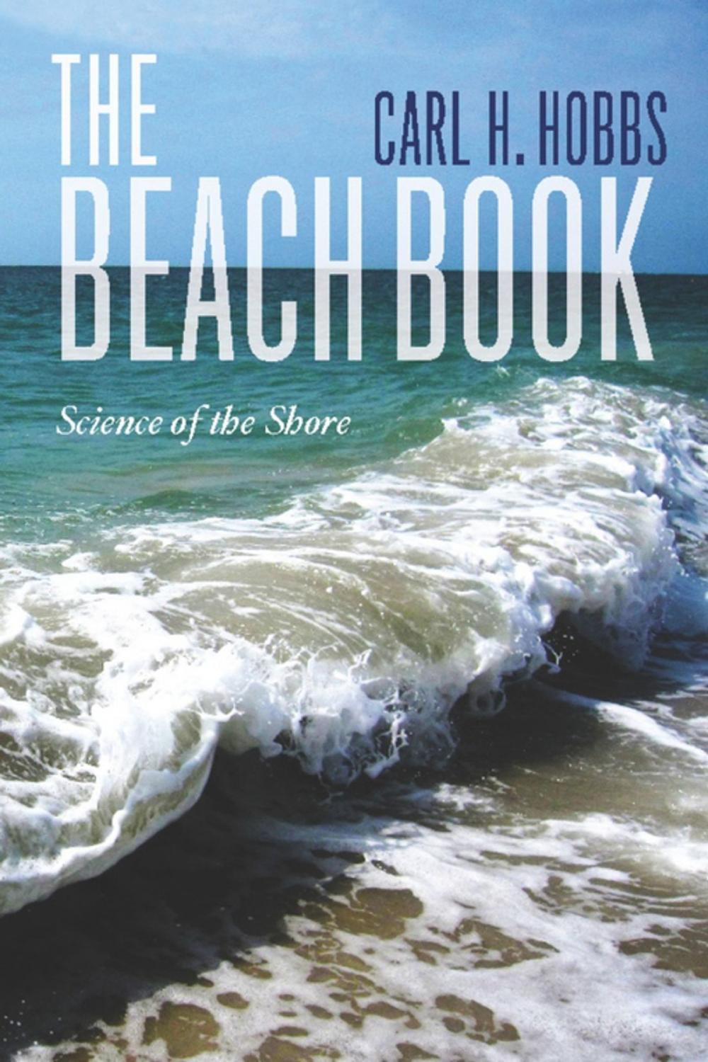 Big bigCover of The Beach Book