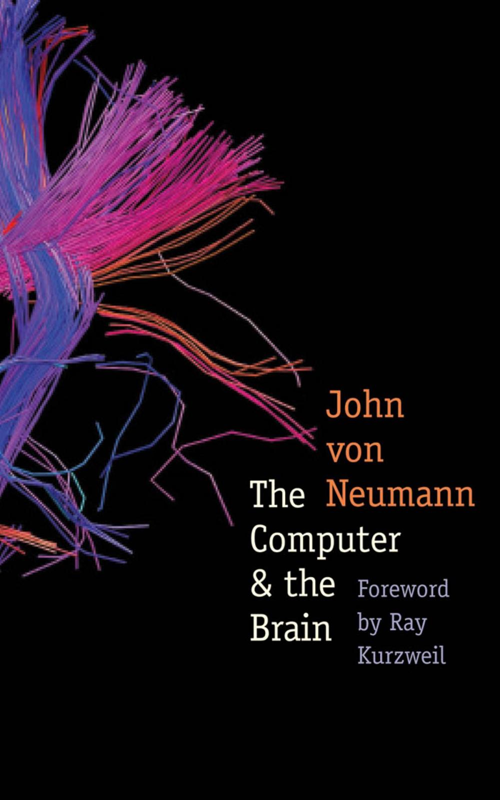 Big bigCover of The Computer and the Brain