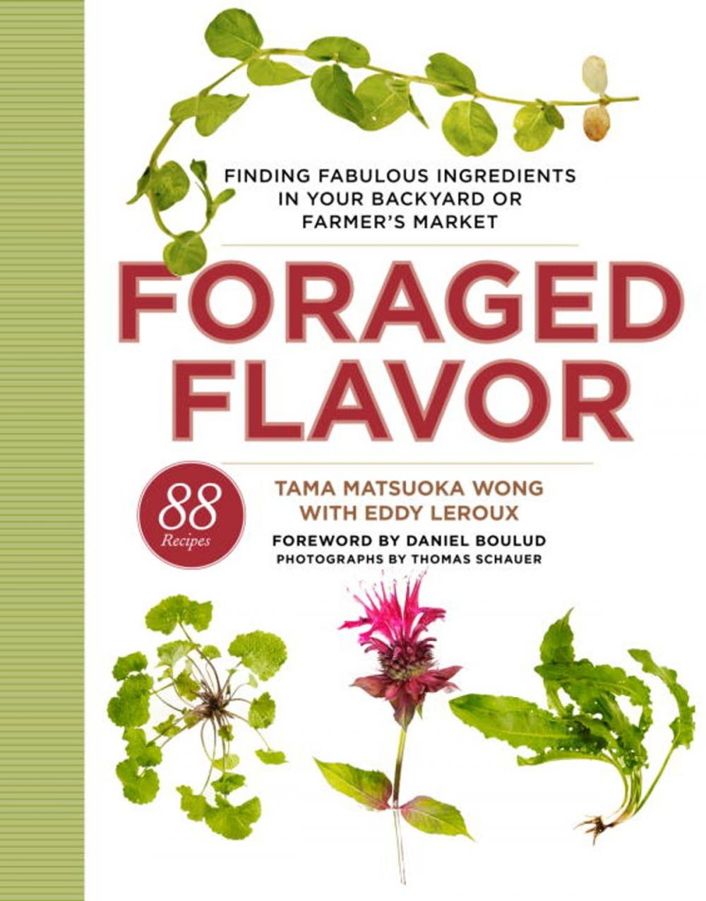 Big bigCover of Foraged Flavor