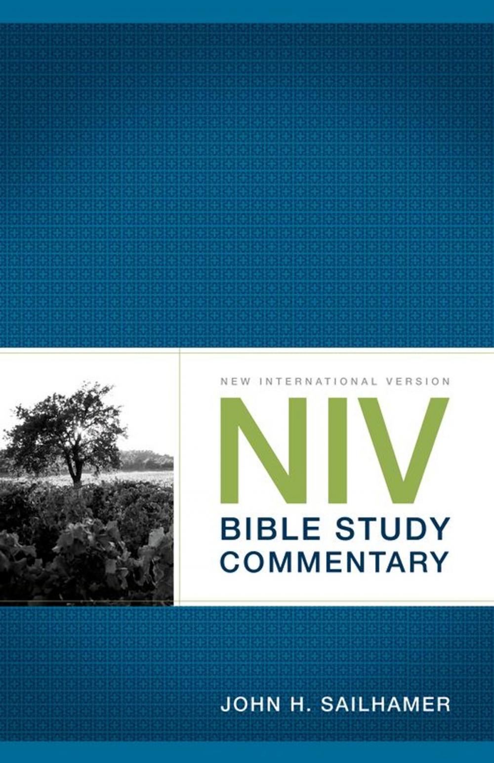 Big bigCover of NIV Bible Study Commentary