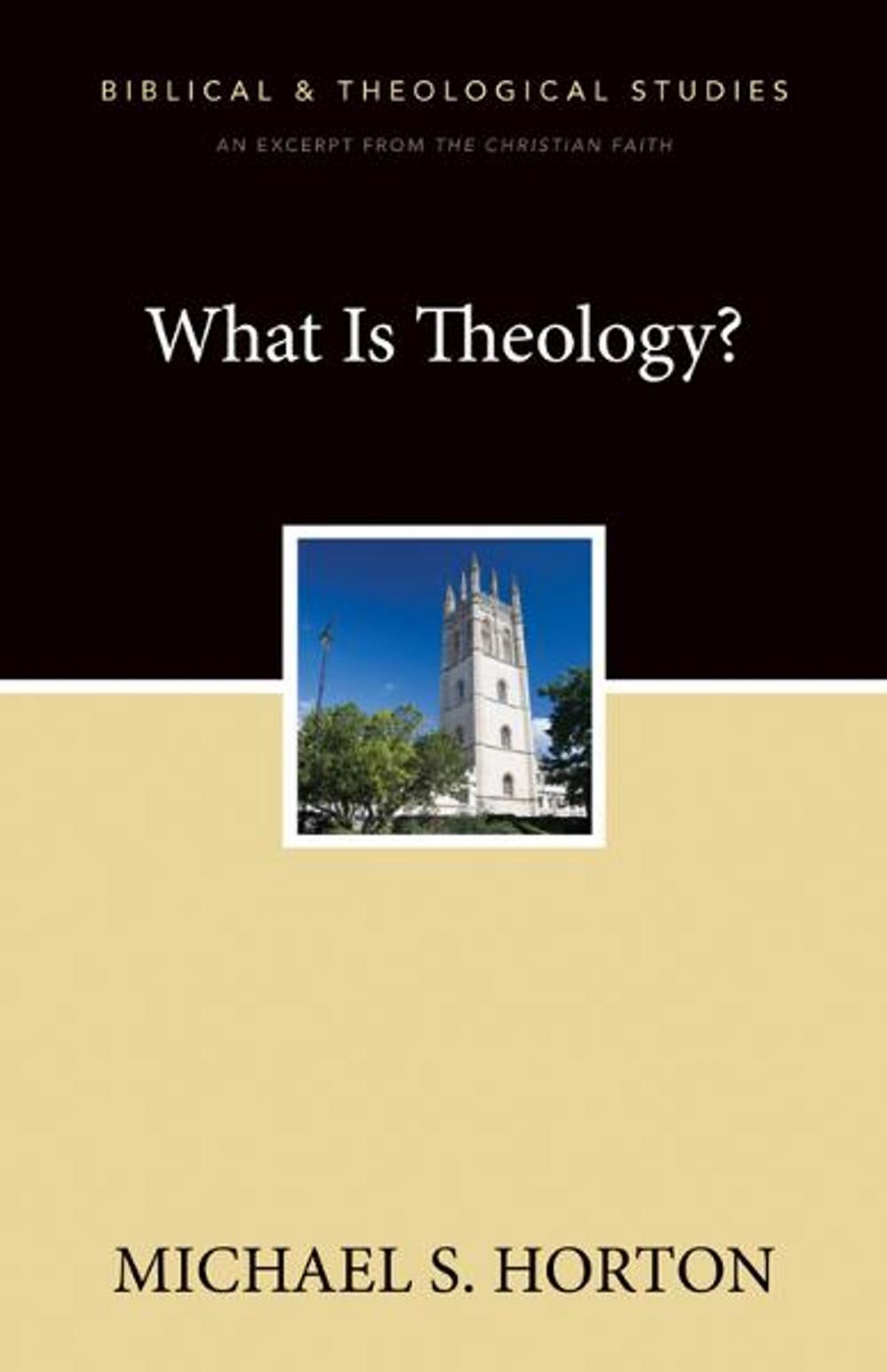 Big bigCover of What Is Theology?