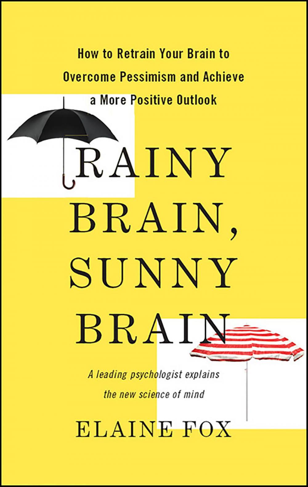 Big bigCover of Rainy Brain, Sunny Brain