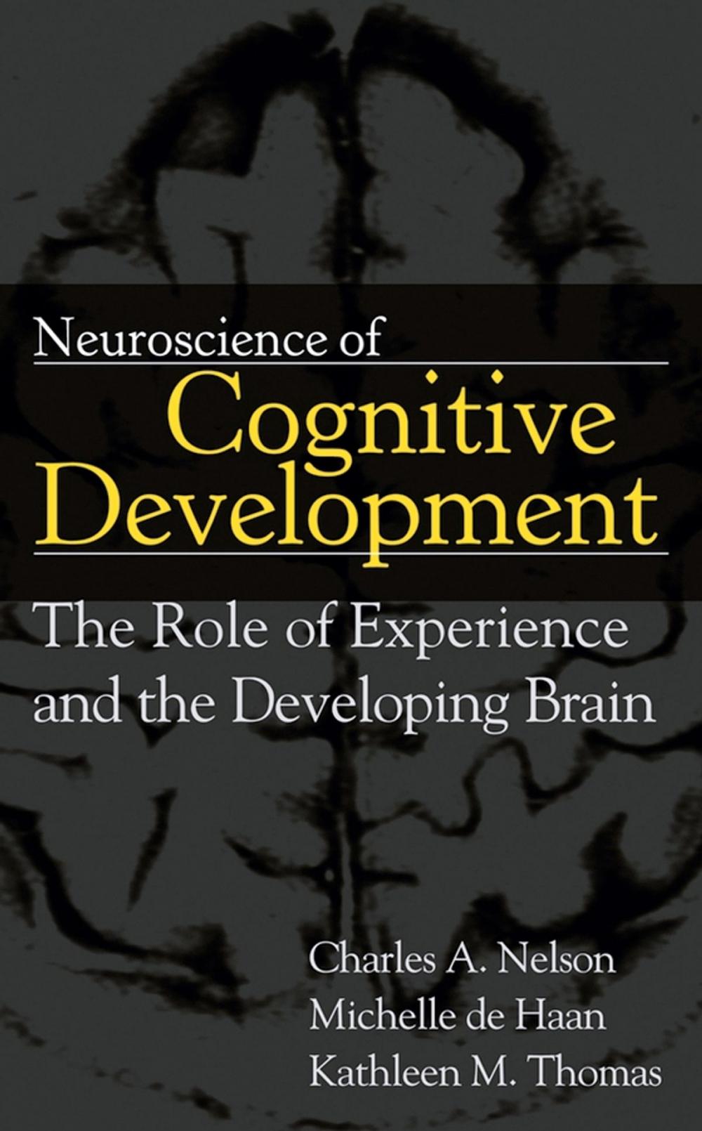 Big bigCover of Neuroscience of Cognitive Development