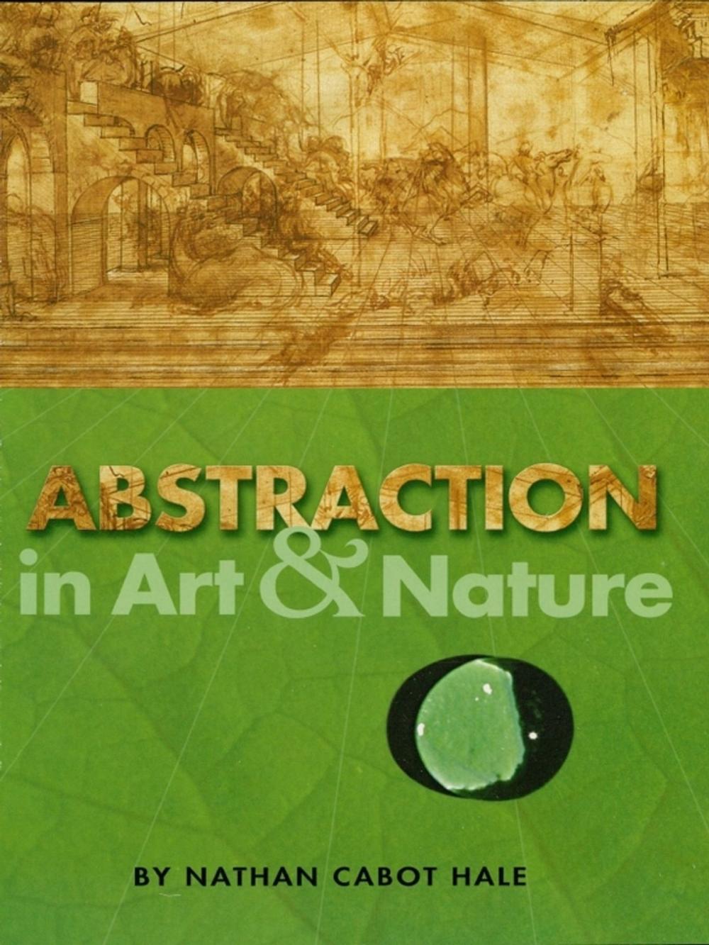 Big bigCover of Abstraction in Art and Nature