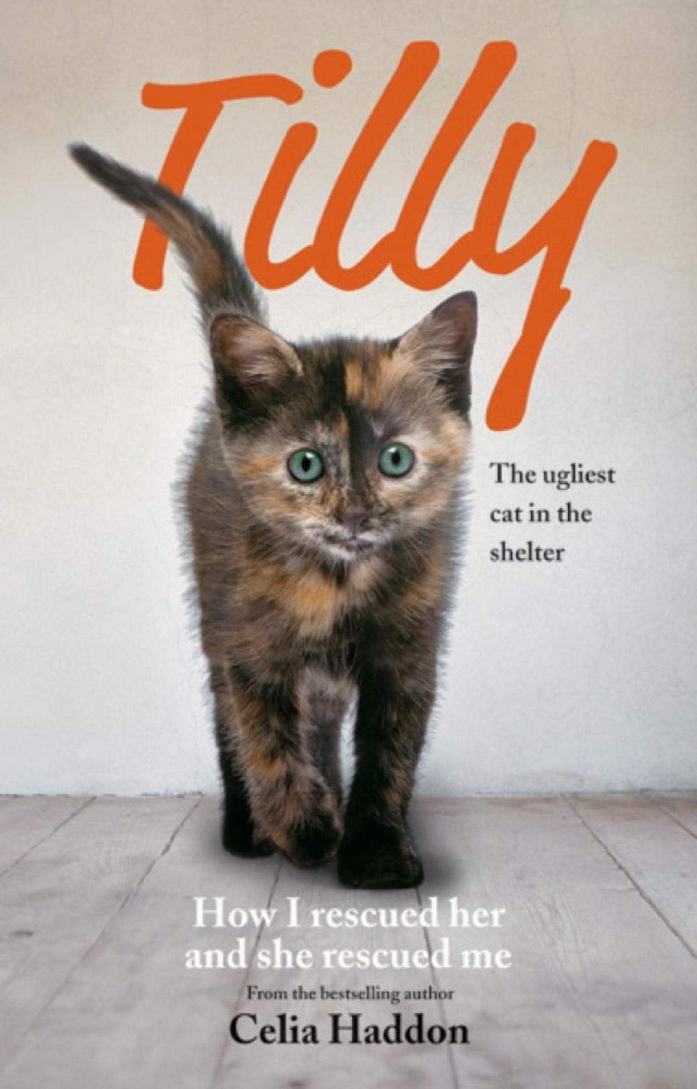 Big bigCover of Tilly: The Ugliest Cat