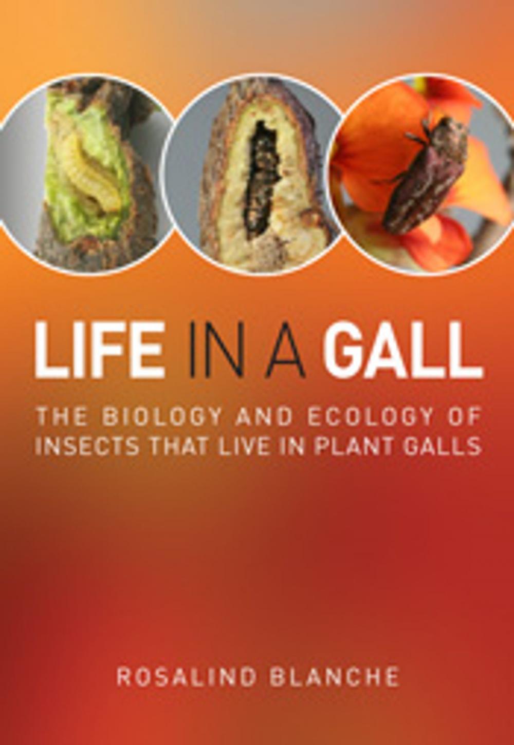 Big bigCover of Life in a Gall