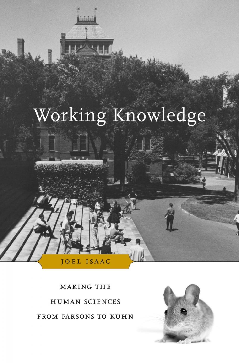 Big bigCover of Working Knowledge