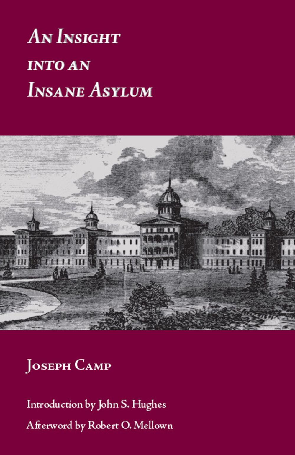 Big bigCover of An Insight into an Insane Asylum
