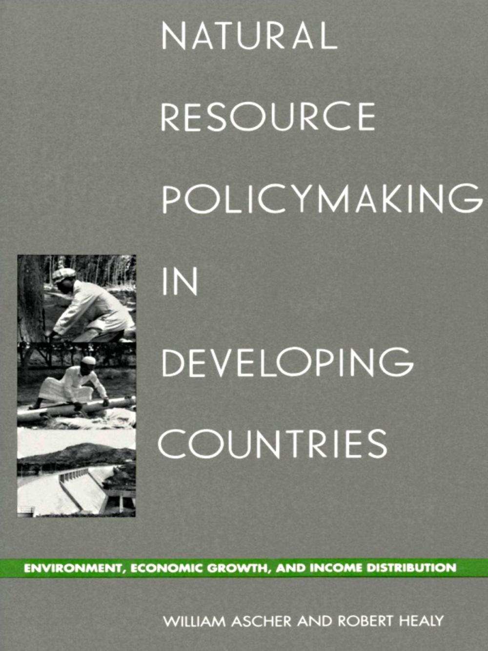 Big bigCover of Natural Resource Policymaking in Developing Countries