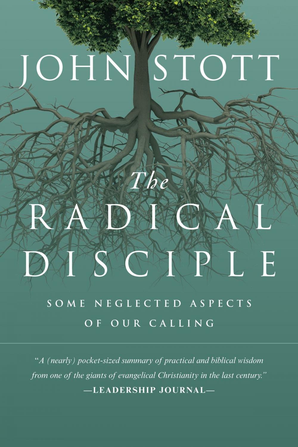 Big bigCover of The Radical Disciple