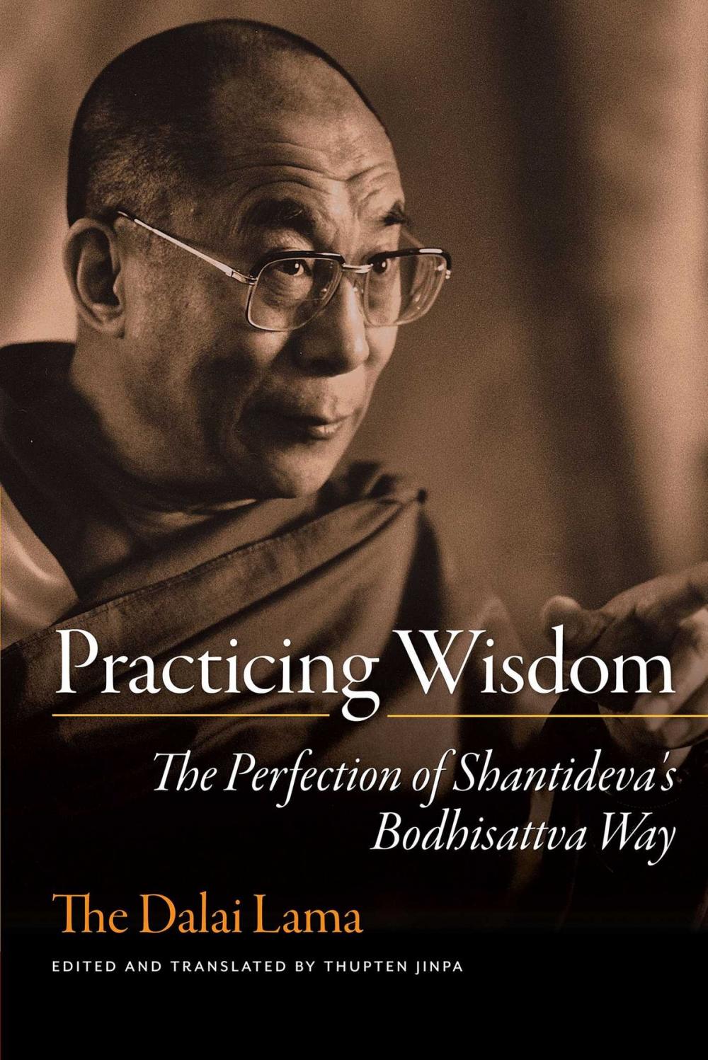 Big bigCover of Practicing Wisdom