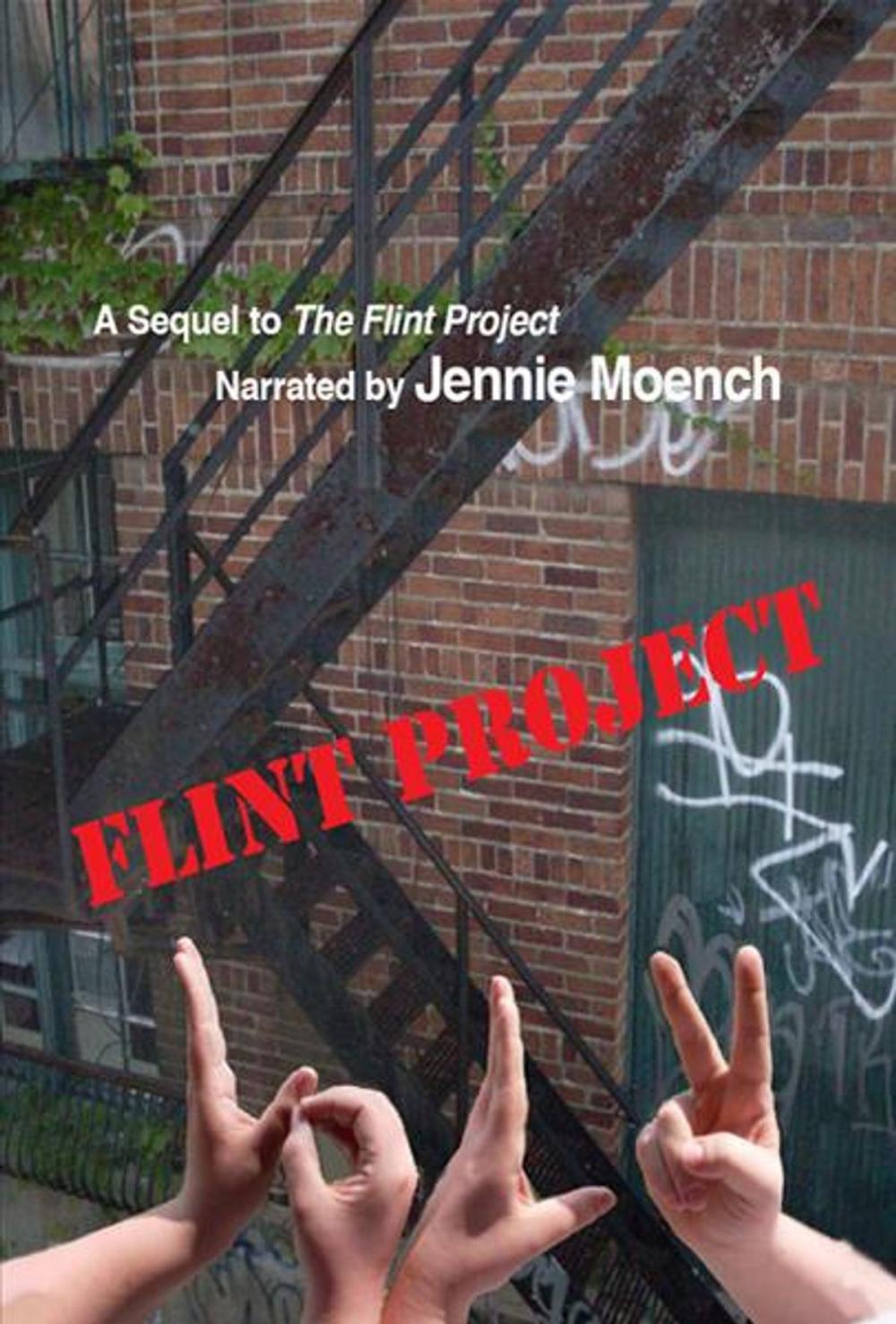 Big bigCover of Flint Project Vol. 2