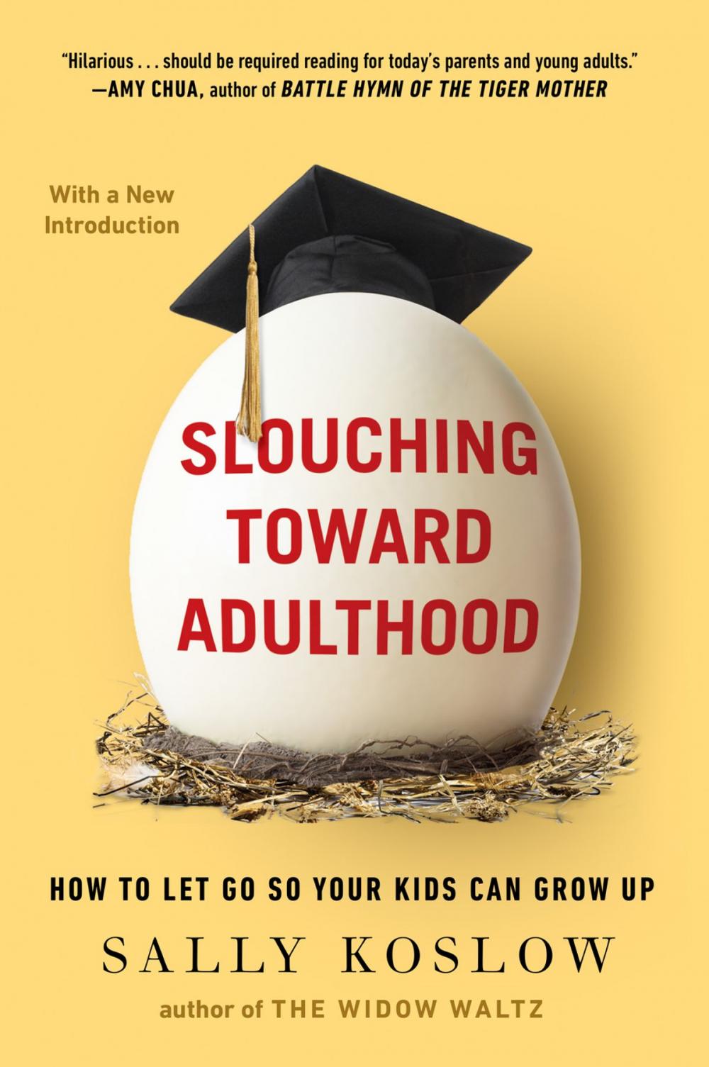 Big bigCover of Slouching Toward Adulthood