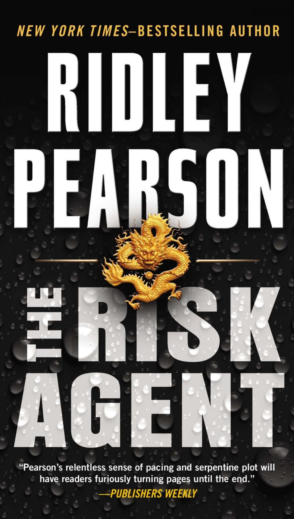 Big bigCover of The Risk Agent