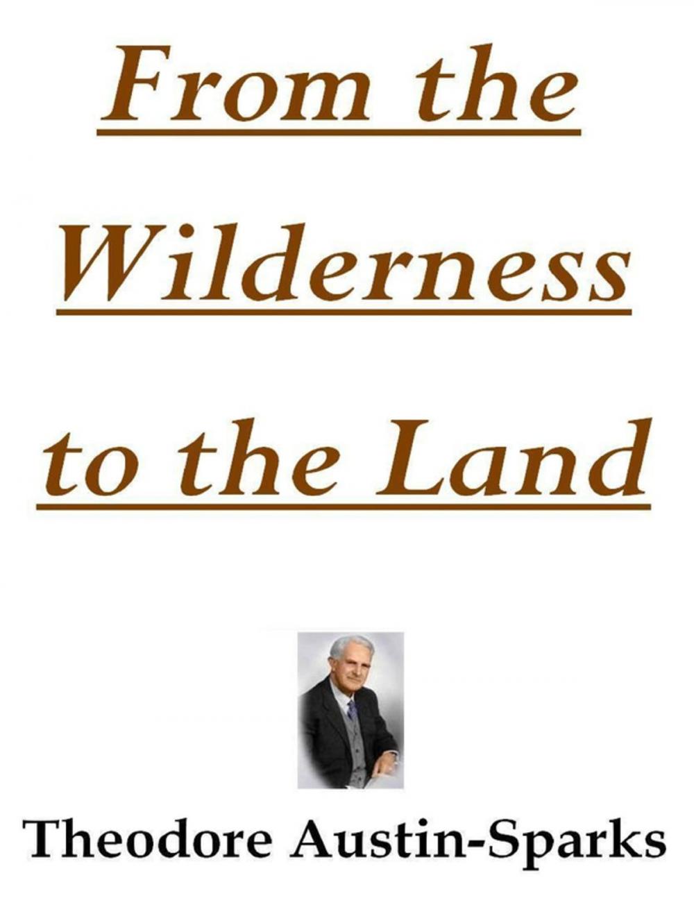 Big bigCover of From the Wilderness to the Land