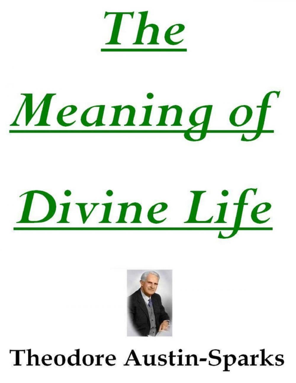 Big bigCover of The Meaning of Divine Life