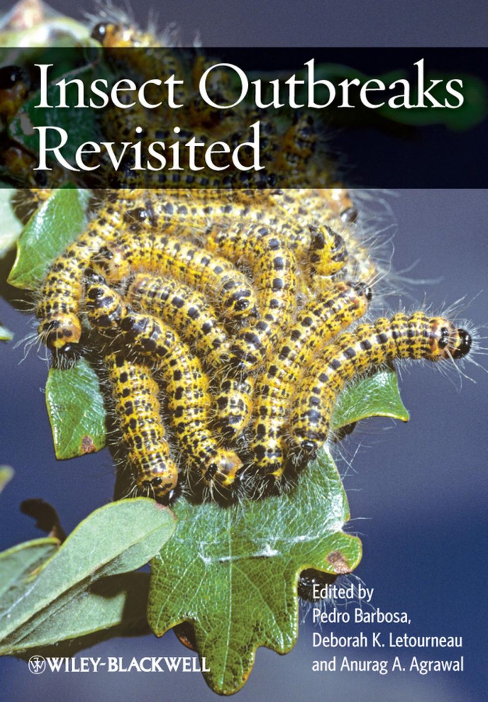 Big bigCover of Insect Outbreaks Revisited