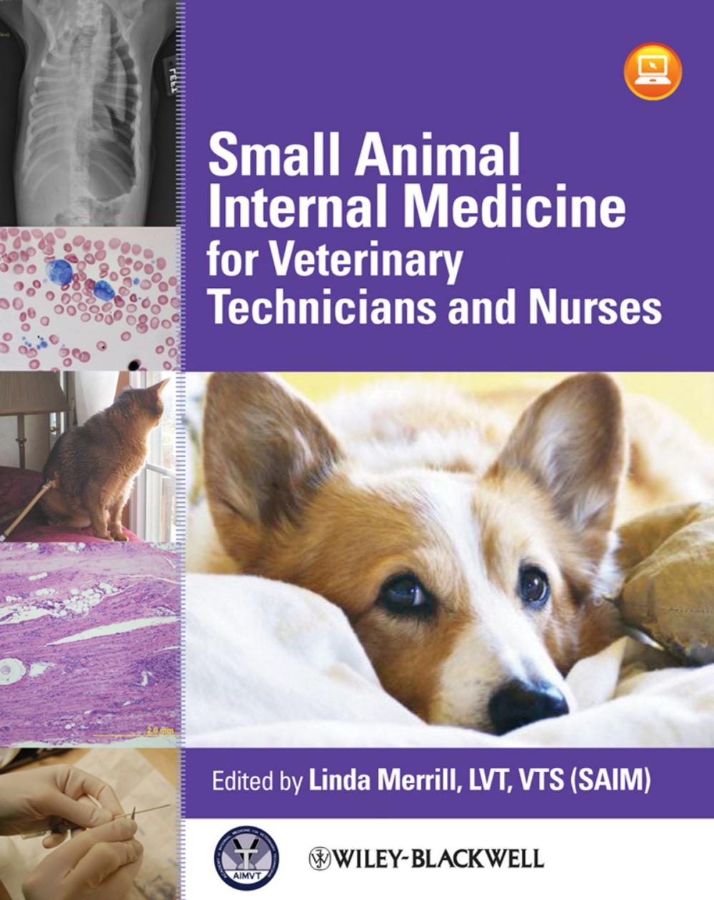 Big bigCover of Small Animal Internal Medicine for Veterinary Technicians and Nurses