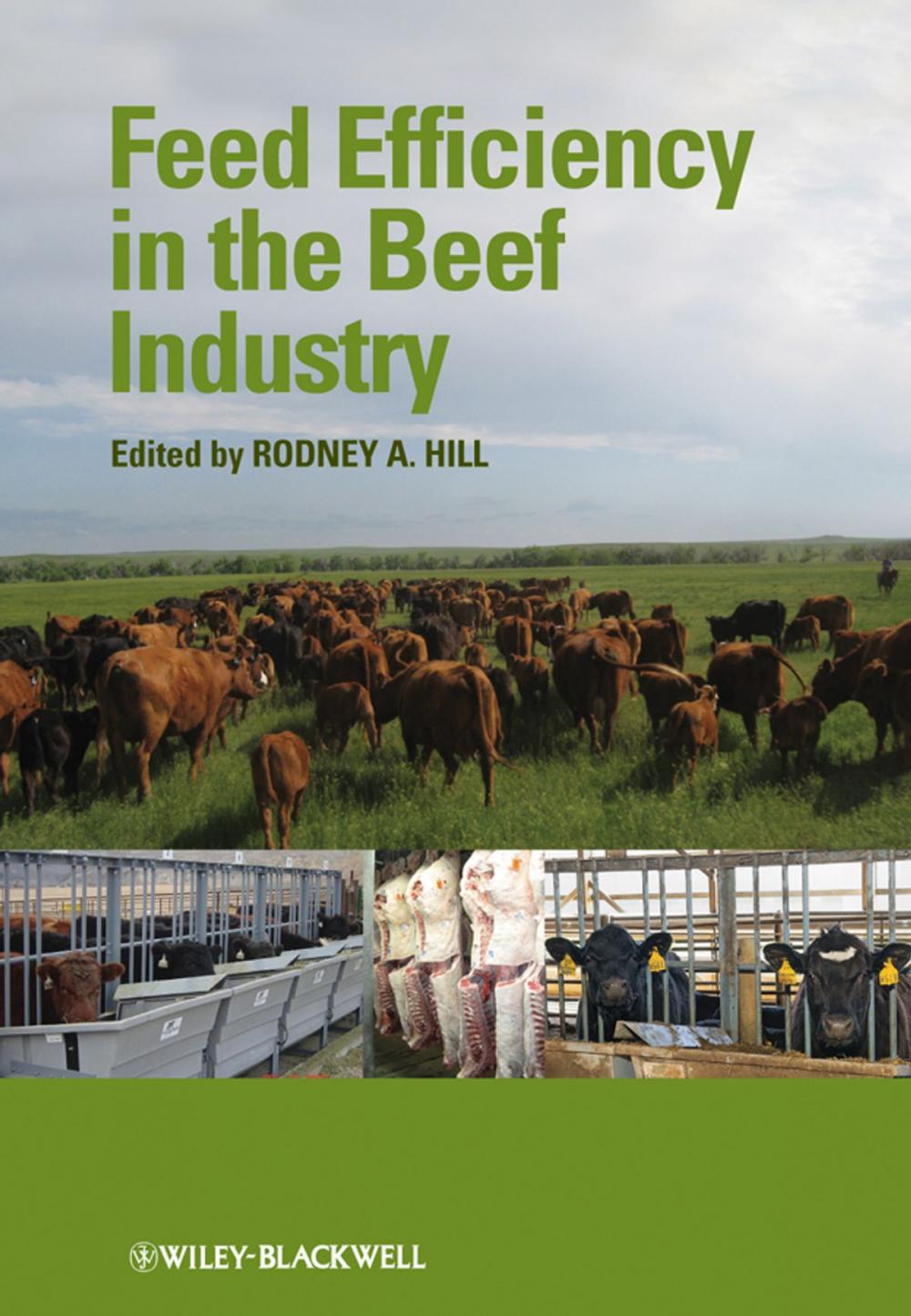 Big bigCover of Feed Efficiency in the Beef Industry