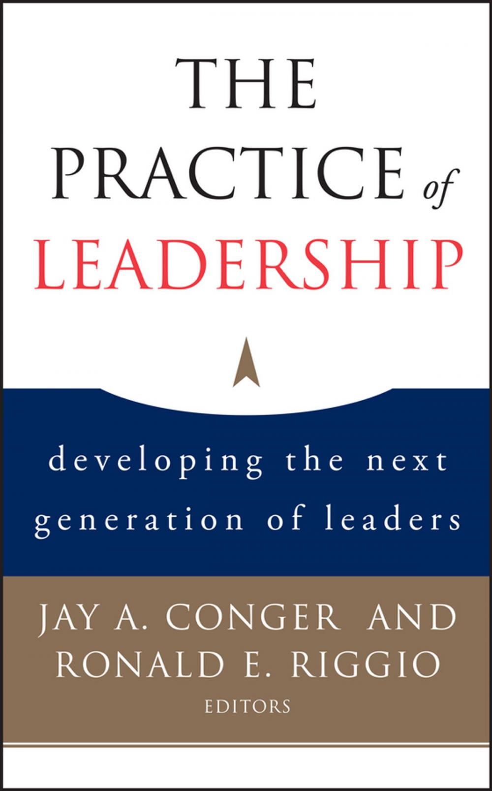 Big bigCover of The Practice of Leadership