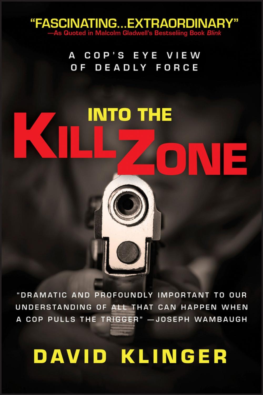 Big bigCover of Into the Kill Zone