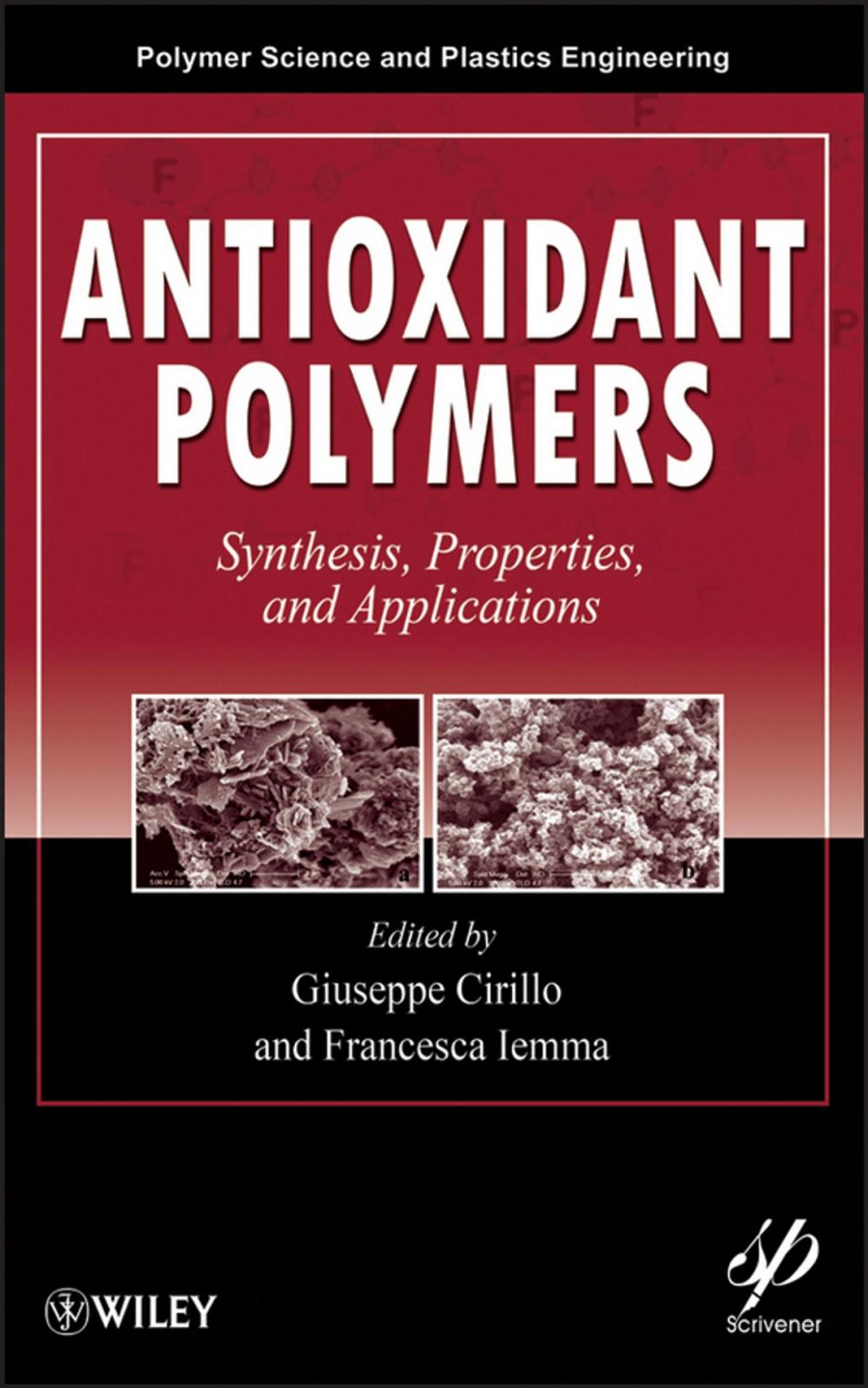 Big bigCover of Antioxidant Polymers