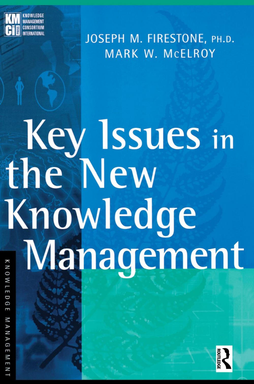 Big bigCover of Key Issues in the New Knowledge Management