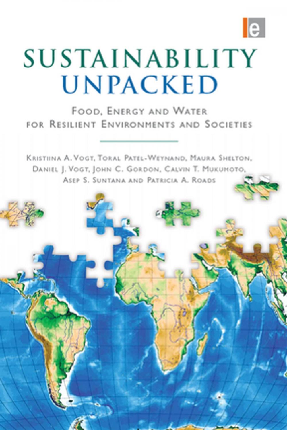 Big bigCover of Sustainability Unpacked