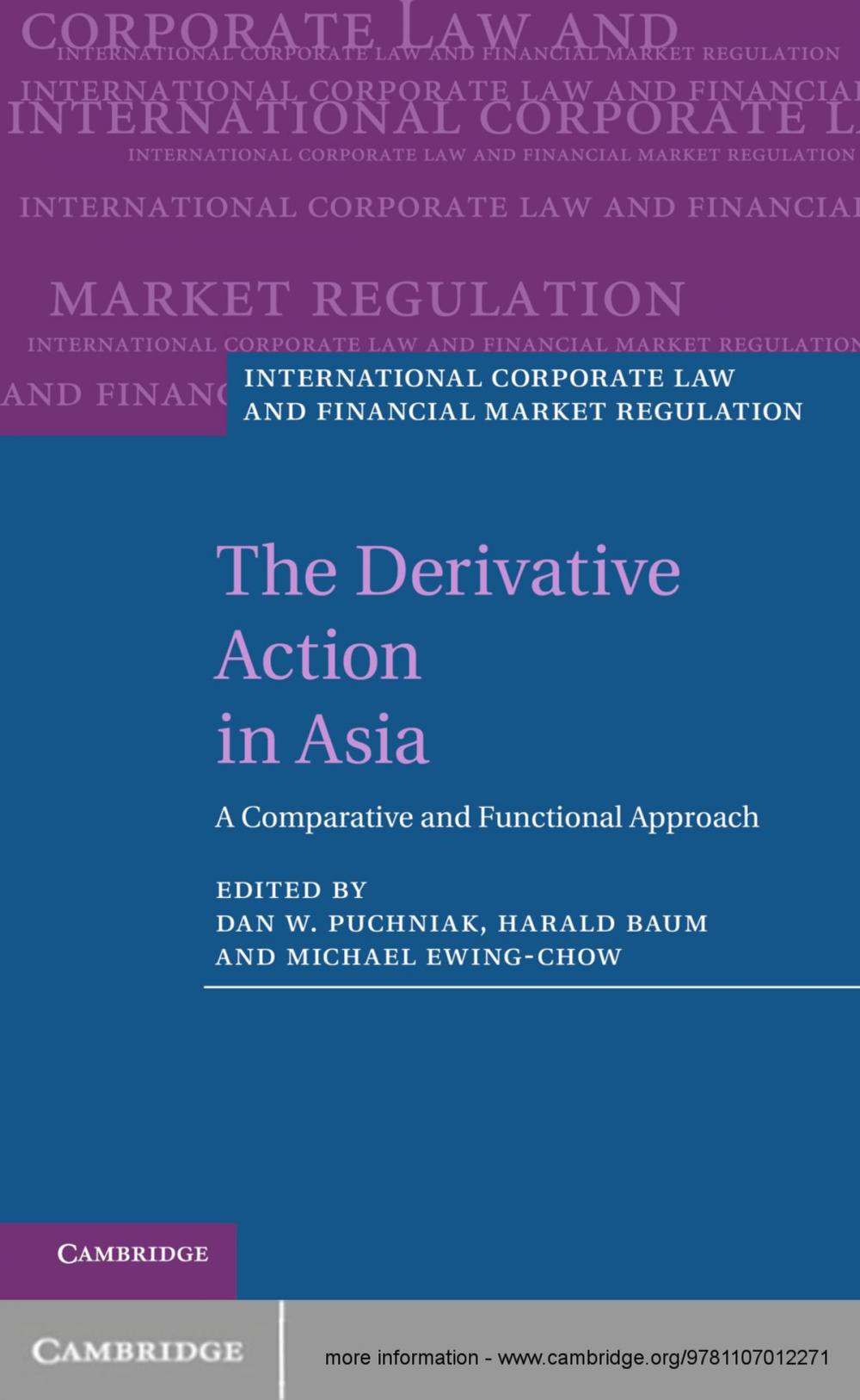 Big bigCover of The Derivative Action in Asia