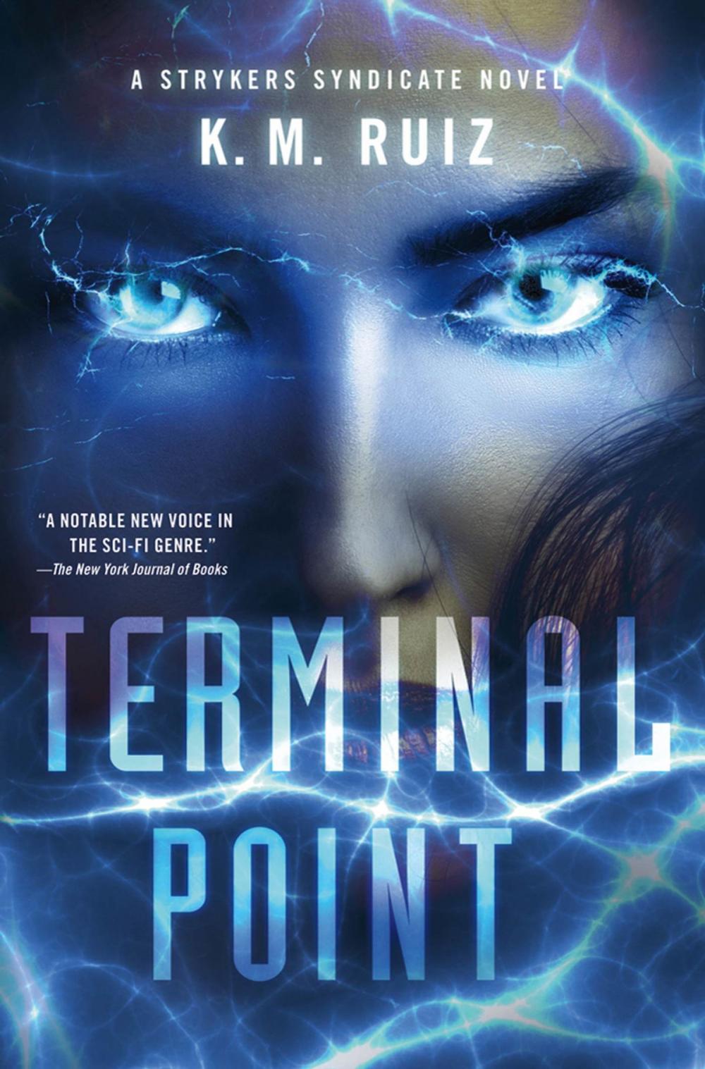 Big bigCover of Terminal Point