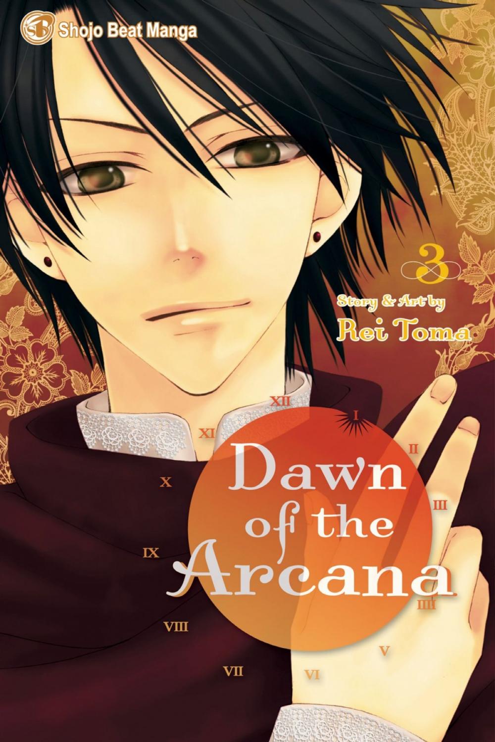 Big bigCover of Dawn of the Arcana, Vol. 3