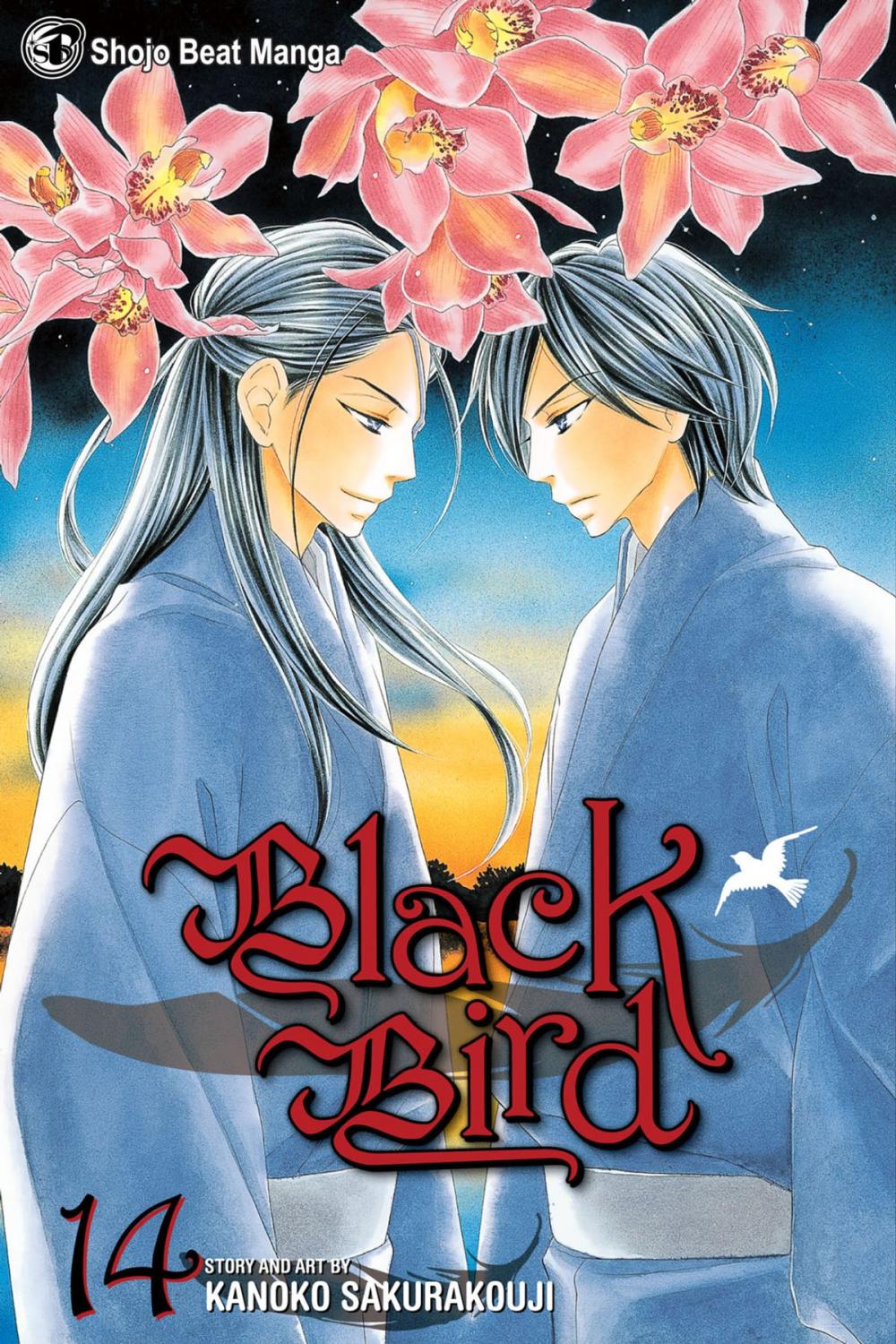 Big bigCover of Black Bird, Vol. 14