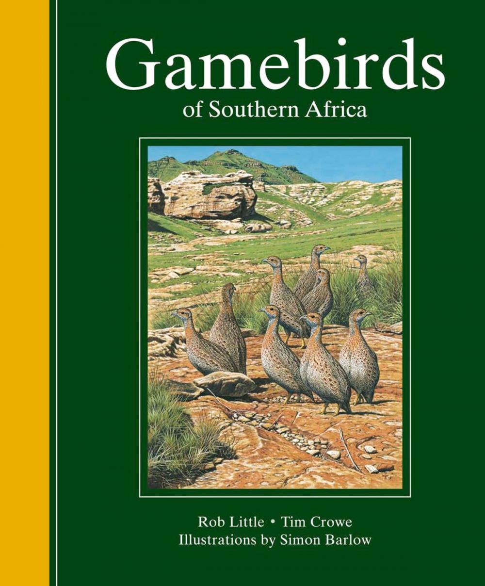 Big bigCover of Gamebirds of Southern Africa