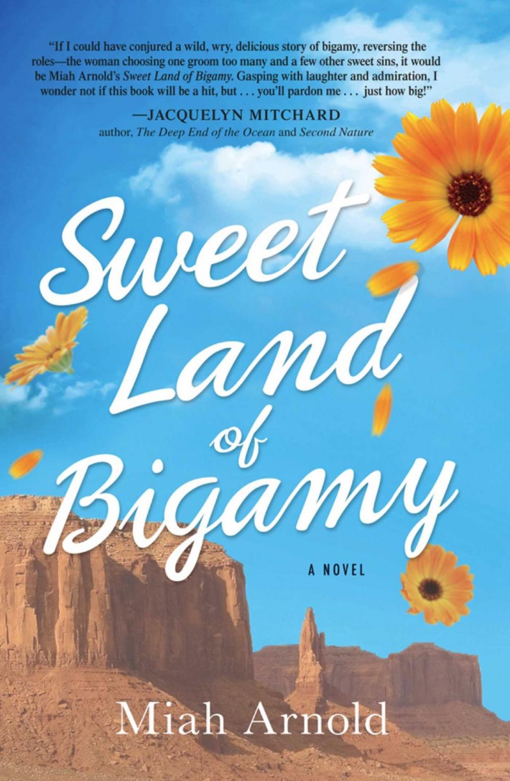 Big bigCover of Sweet Land of Bigamy