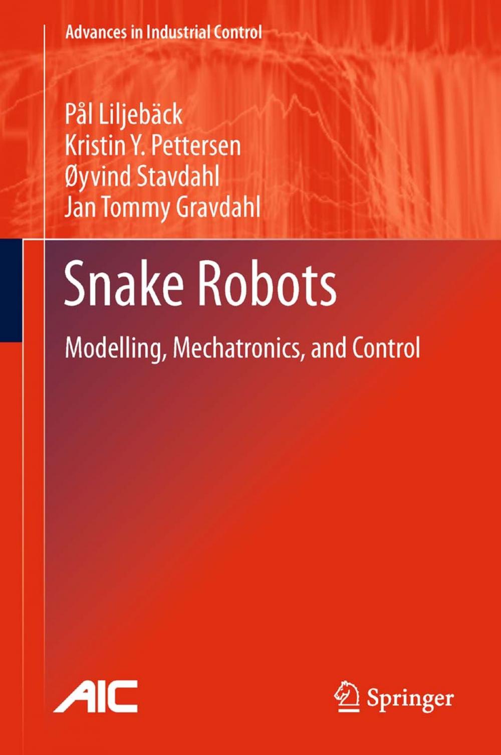 Big bigCover of Snake Robots