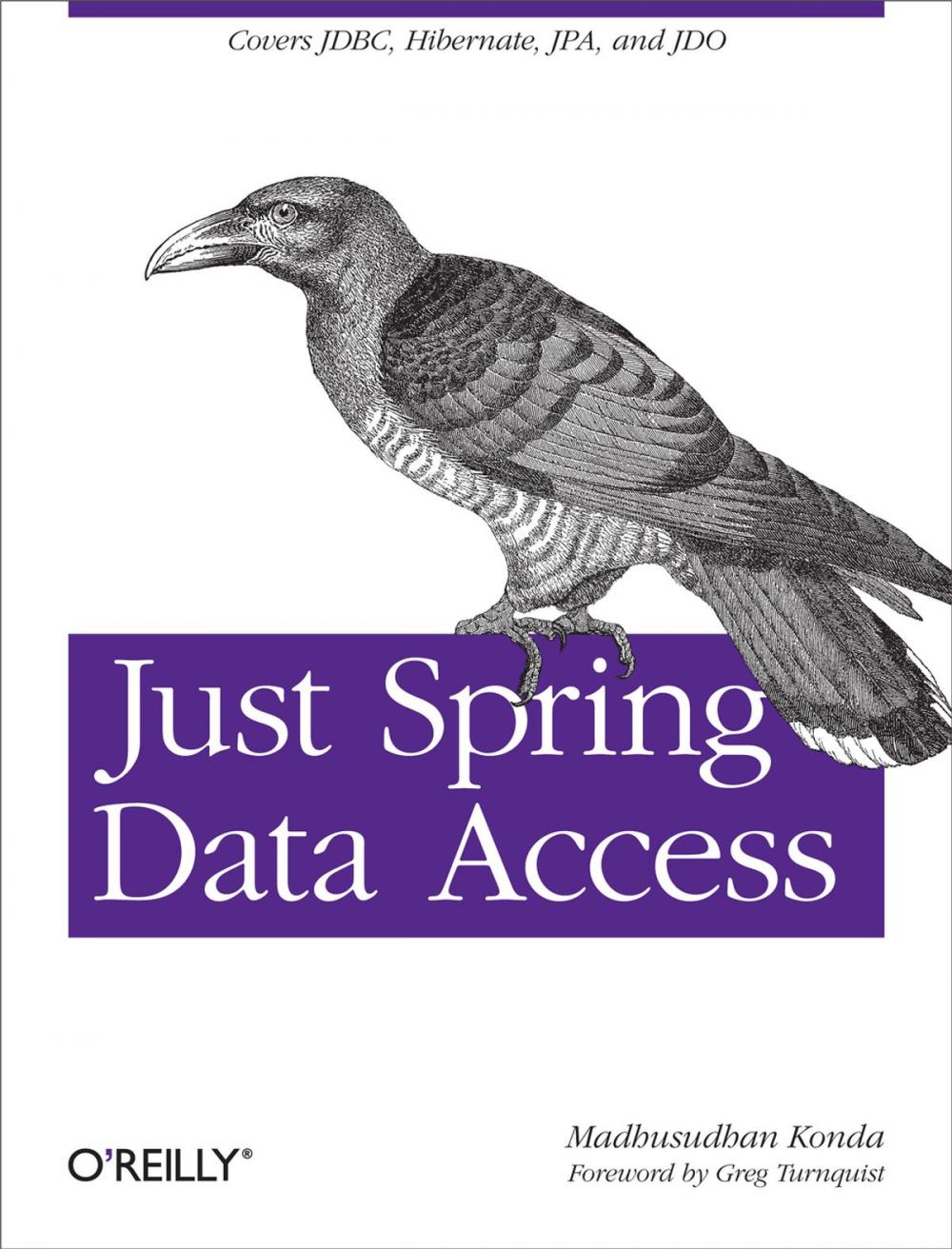 Big bigCover of Just Spring Data Access