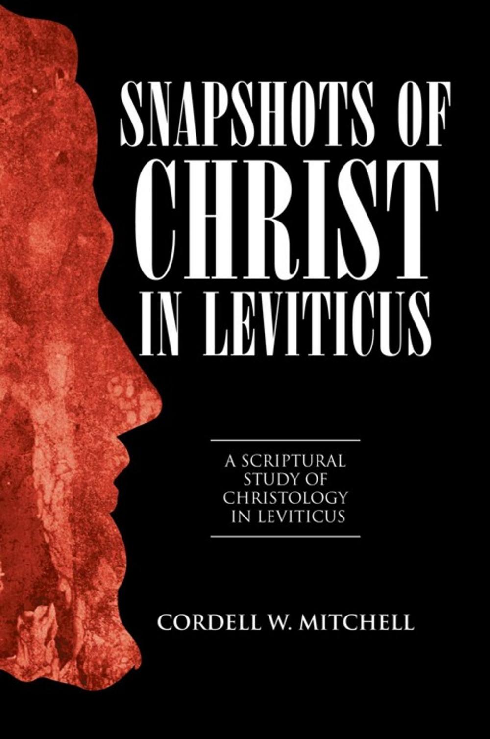 Big bigCover of Snapshots of Christ in Leviticus