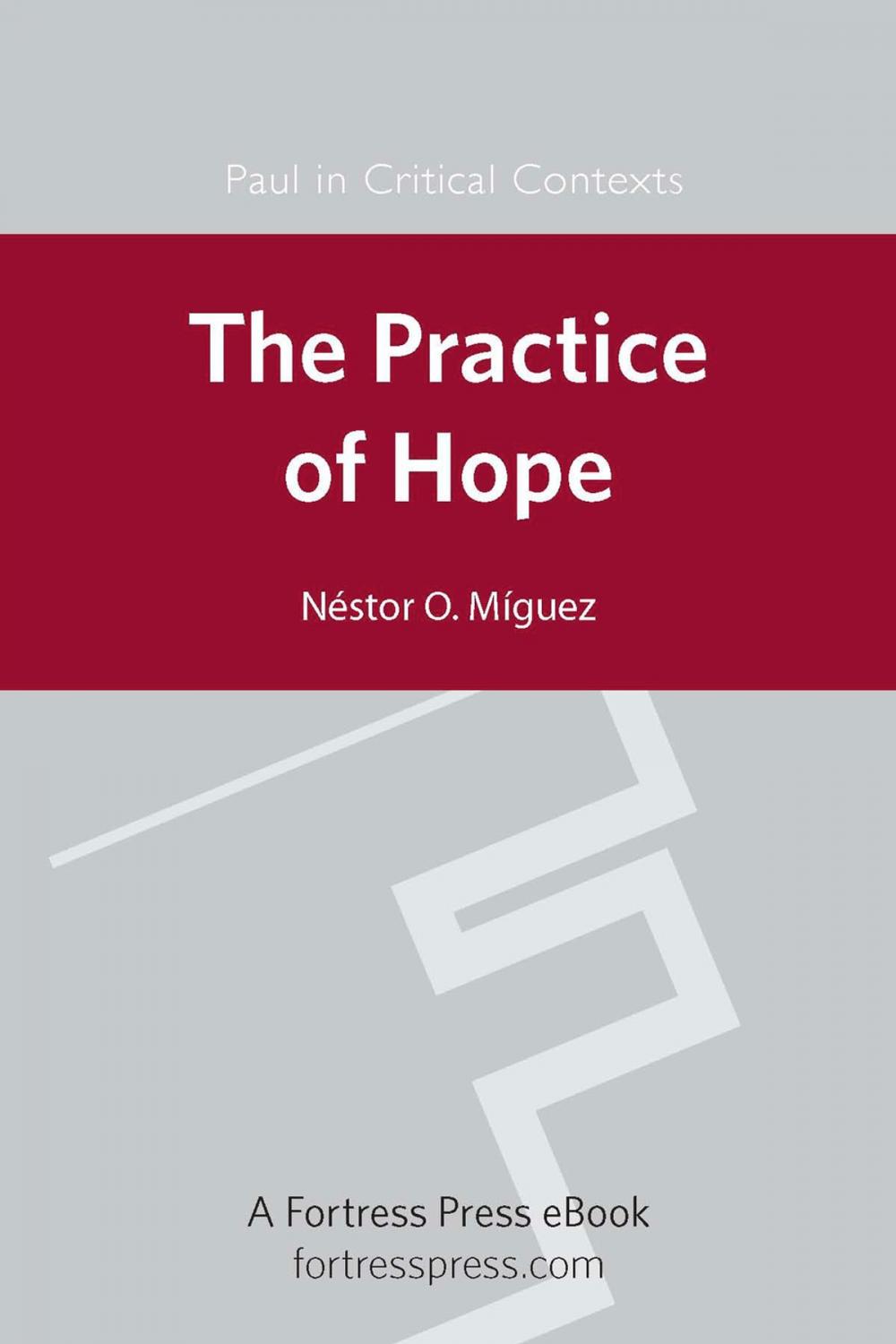 Big bigCover of The Practice of Hope