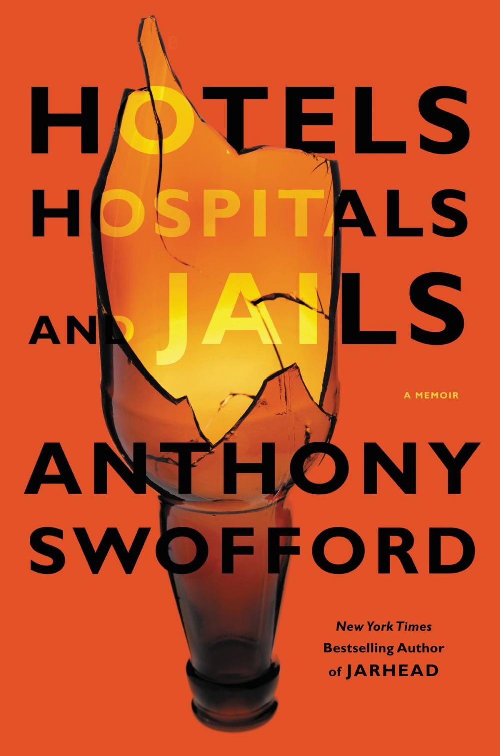 Big bigCover of Hotels, Hospitals, and Jails