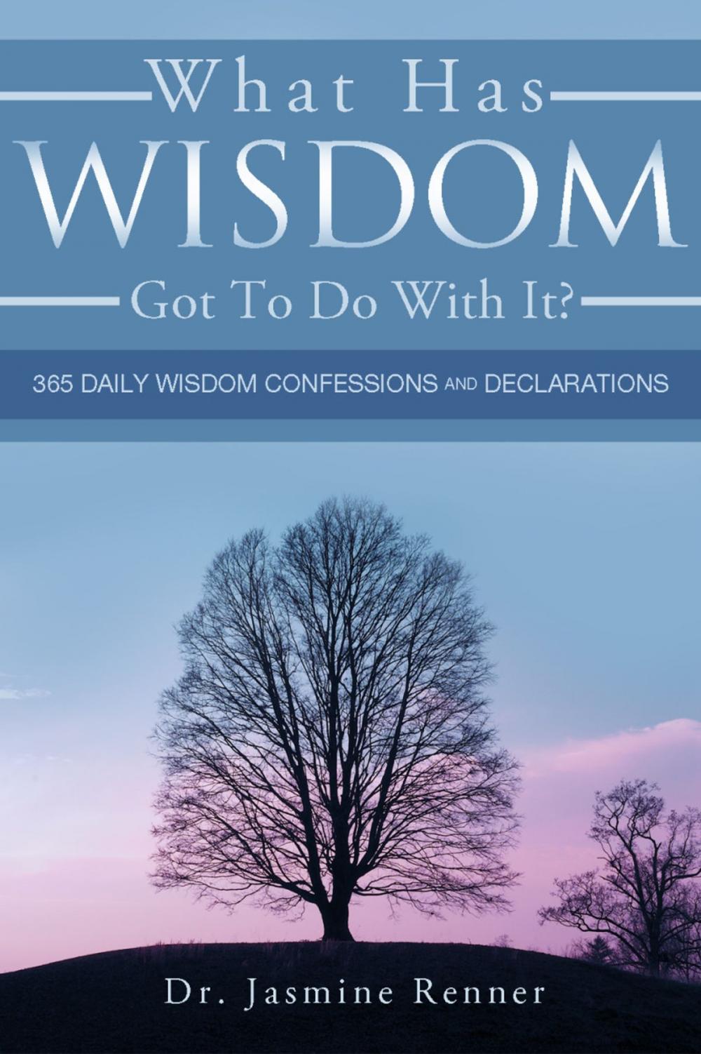 Big bigCover of What Has Wisdom Got to Do With It? - 365 Daily Wisdom Confessions and Declarations.