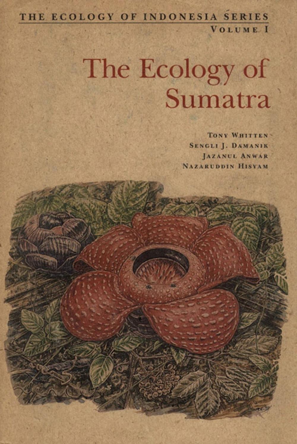 Big bigCover of Ecology of Sumatra