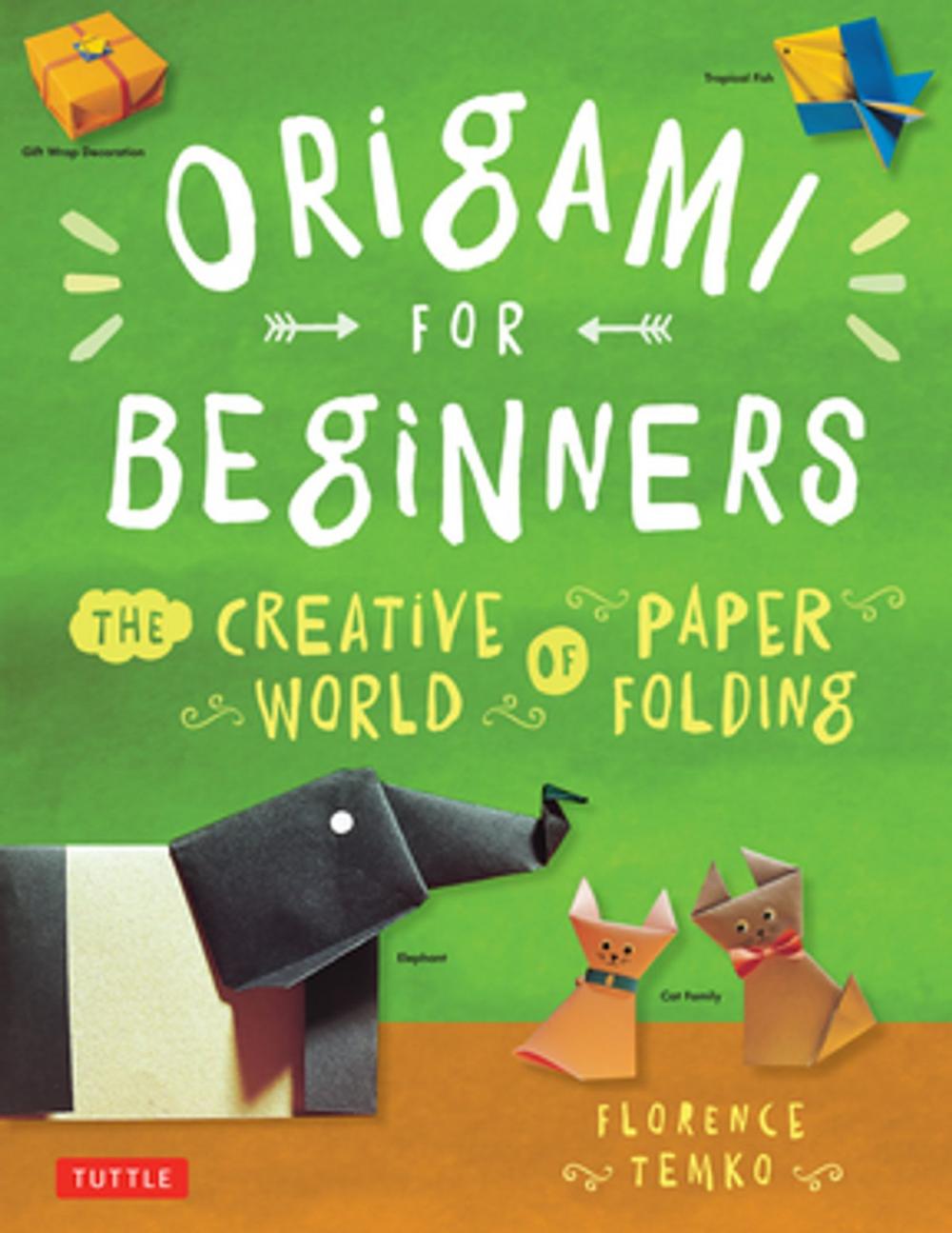 Big bigCover of Origami for Beginners