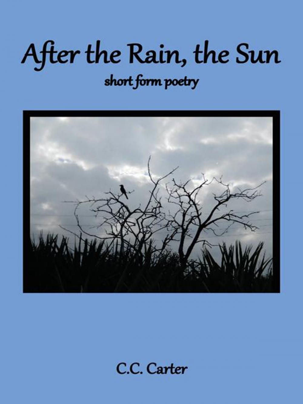 Big bigCover of After the Rain, the Sun