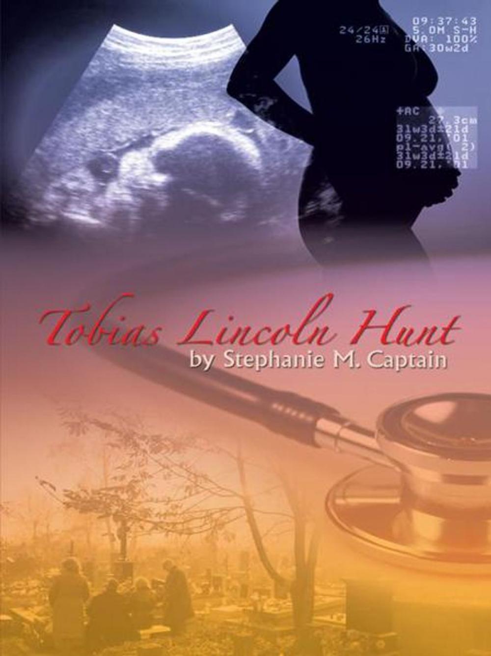 Big bigCover of Tobias Lincoln Hunt