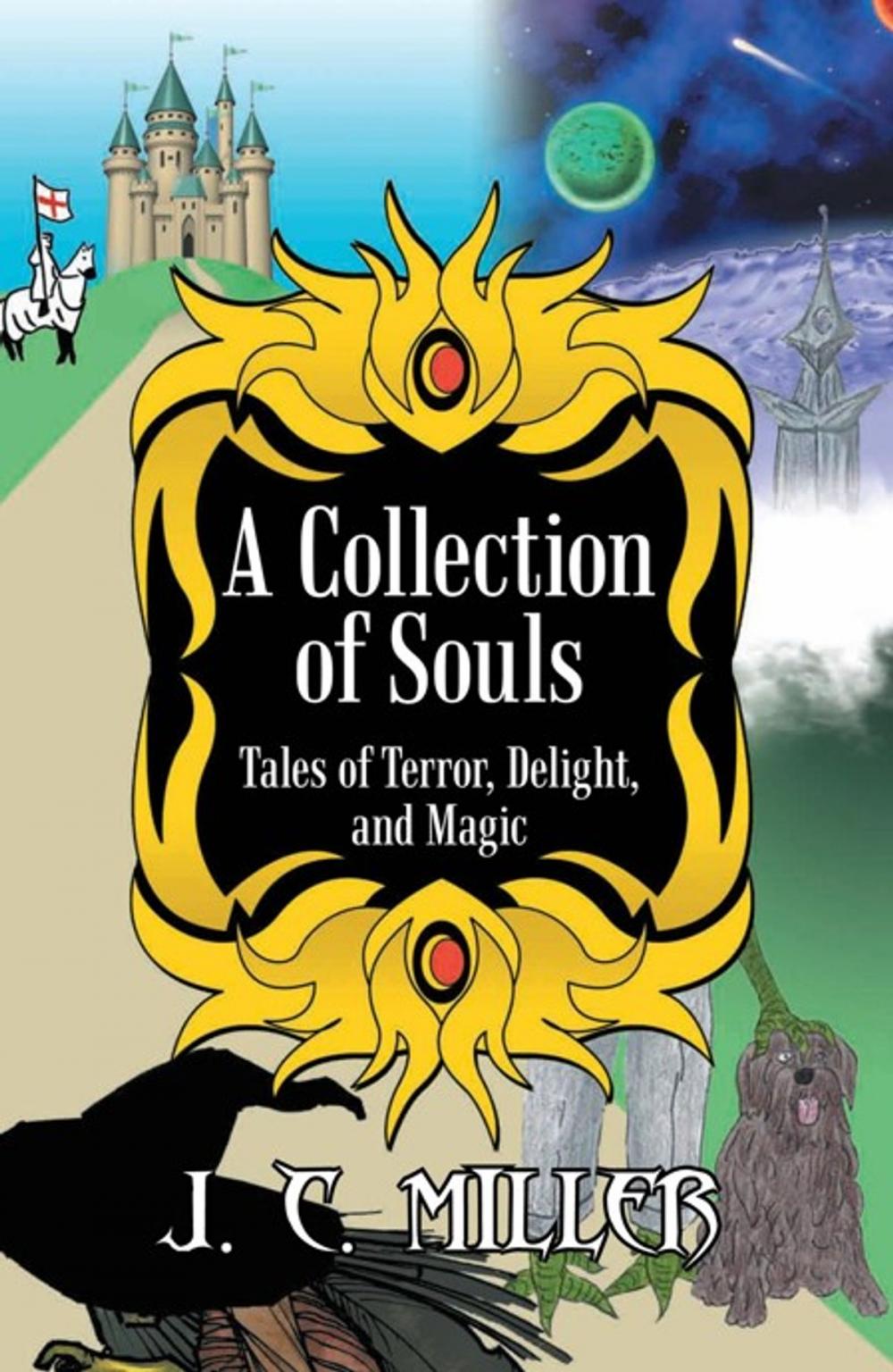 Big bigCover of A Collection of Souls